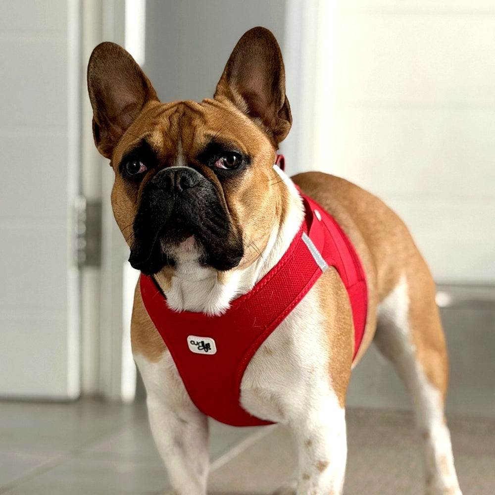 Curli Air-Mesh Vest Harness