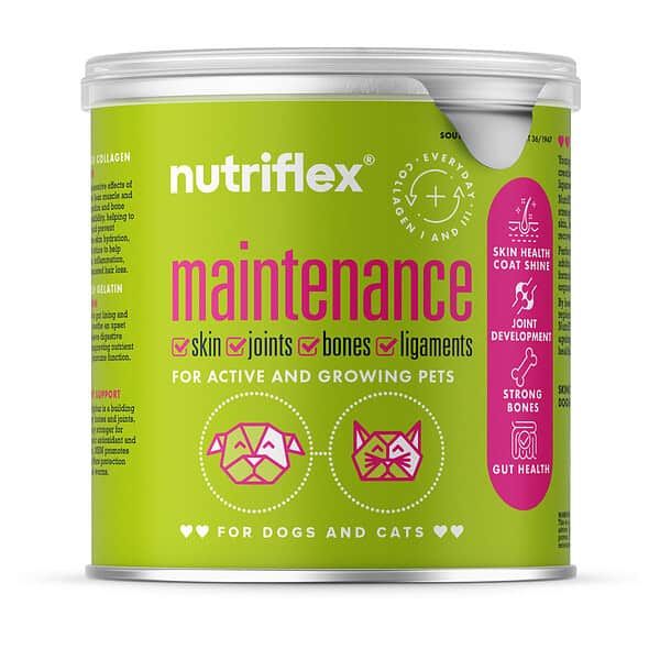 NutriFlex Maintenance Collagen